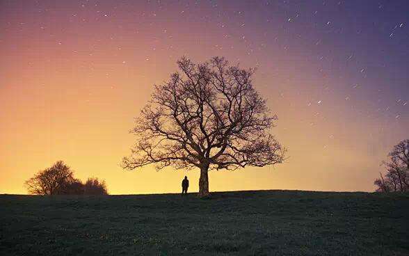 1578128744800624.jpg 44.jpg