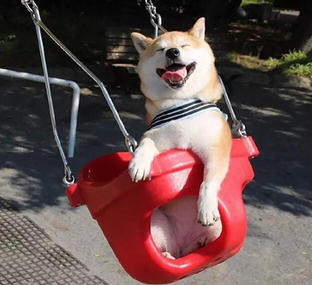 1578560035731037.jpg 13596378.jpg