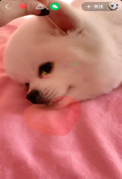 1579254389858982.png image.png