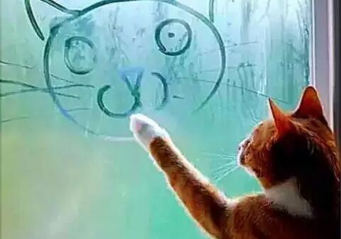 1579402974442701.jpg 50ab924c-5ee9-4e22-b28d-8c30915fb625.jpg