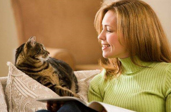 1579403538710374.png ab50704f37ee4cd380038b09e9628d86.png