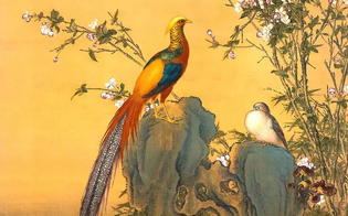 1579505170393170.png f4f24d30f87c4cc6a76c3ace7f3388e8.png