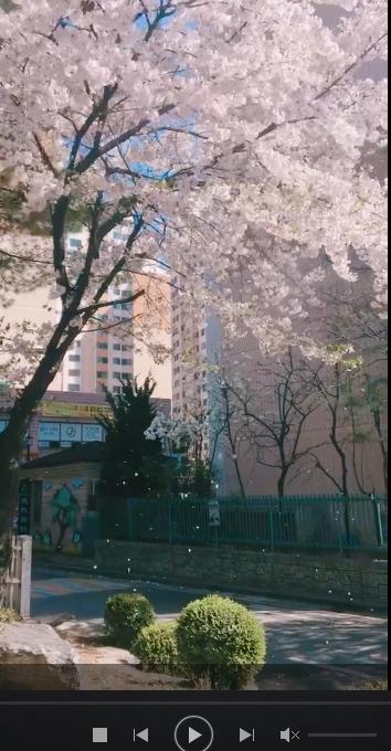 1607308177952315.jpg 2e91526016454511b8a346e60d95f622.jpg