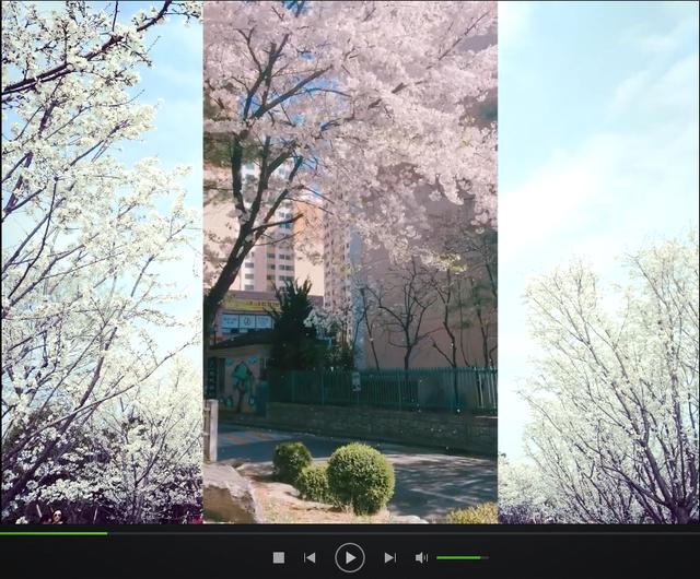 1607308311138793.jpg 3.jpg