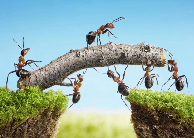 1608109597332686.png UC截图20201216170630.png